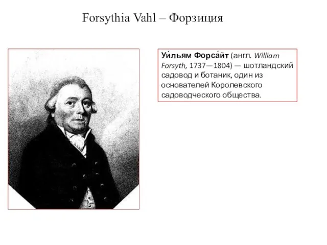 Уи́льям Форса́йт (англ. William Forsyth, 1737—1804) — шотландский садовод и ботаник,