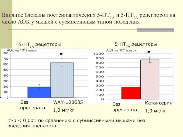 Влияние блокады постсинаптических 5-НТ1А и 5-НТ2А рецепторов на число АОК у