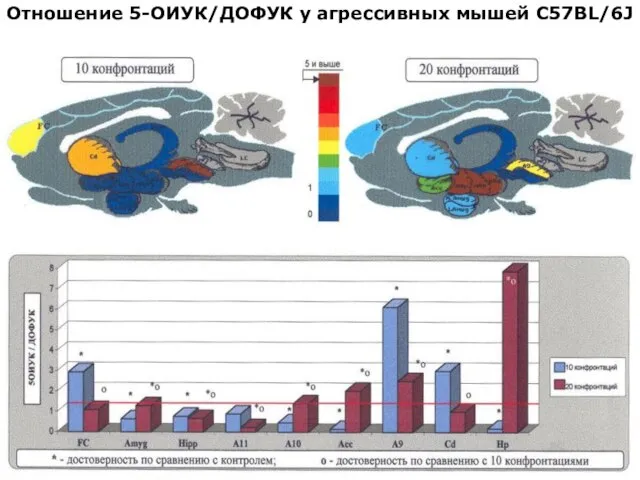 Отношение 5-ОИУК/ДОФУК у агрессивных мышей С57BL/6J