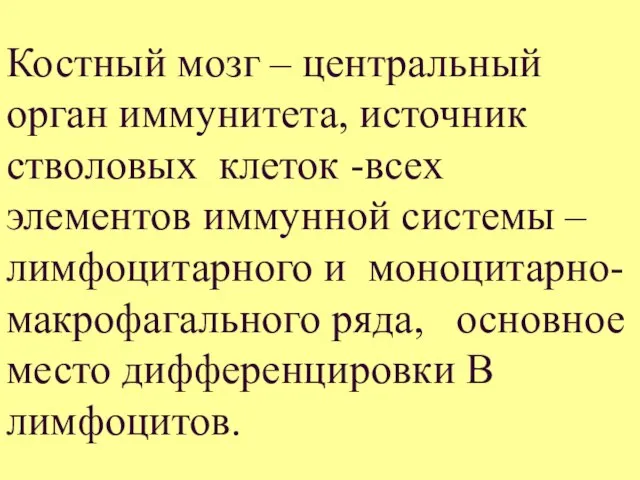 Костный мозг – центральный орган иммунитета, источник стволовых клеток -всех элементов