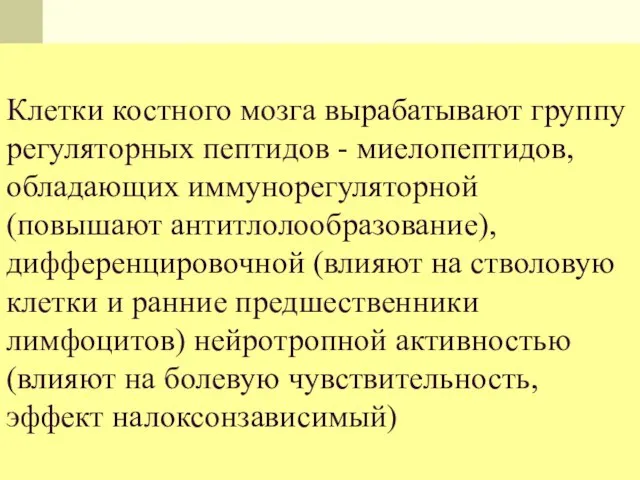 Клетки костного мозга вырабатывают группу регуляторных пептидов - миелопептидов, обладающих иммунорегуляторной