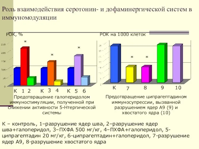 Роль взаимодействия серотонин- и дофаминергической систем в иммуномодуляции РОК, % РОК