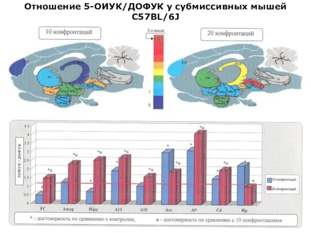 Отношение 5-ОИУК/ДОФУК у субмиссивных мышей С57BL/6J