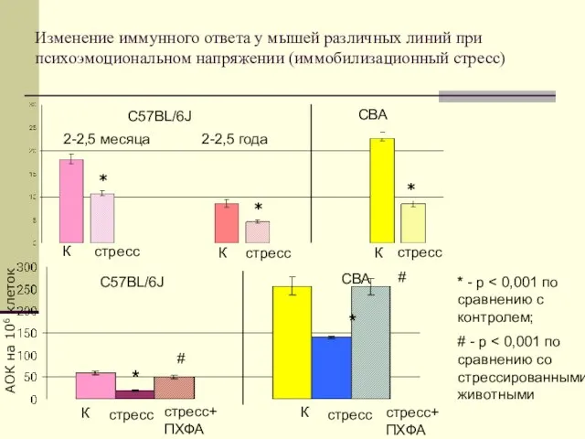 Изменение иммунного ответа у мышей различных линий при психоэмоциональном напряжении (иммобилизационный