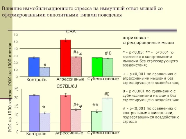 Влияние иммобилизационного стресса на иммунный ответ мышей со сформированными оппозитными типами