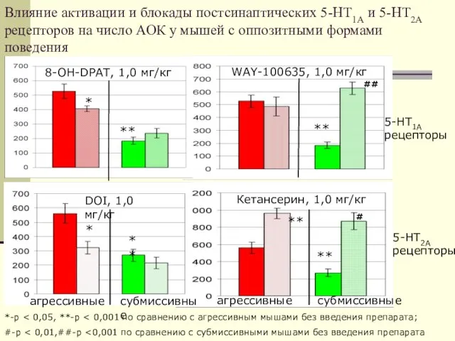 Влияние активации и блокады постсинаптических 5-НТ1А и 5-НТ2А рецепторов на число