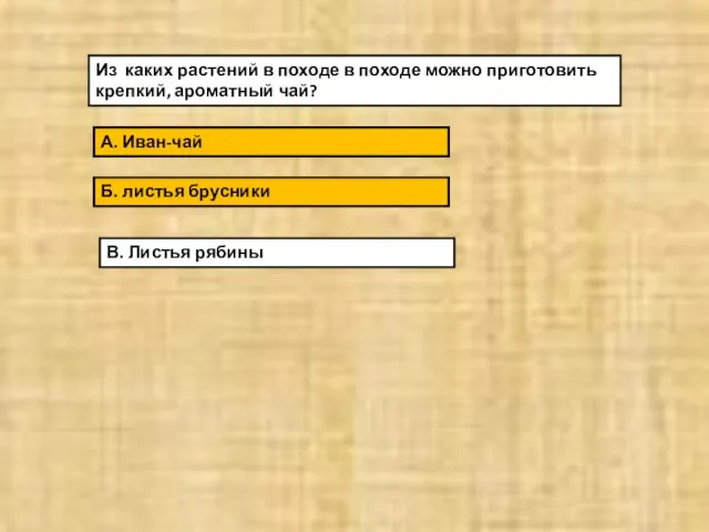 Из каких растений в походе в походе можно приготовить крепкий, ароматный