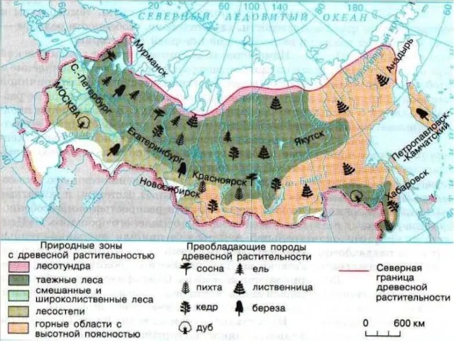 ПРИРОДНЫЕ ЗОНЫ РОССИИ