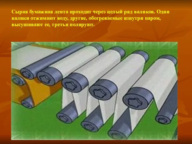 Сырая бумажная лента проходит через целый ряд валиков. Одни валики отжимают