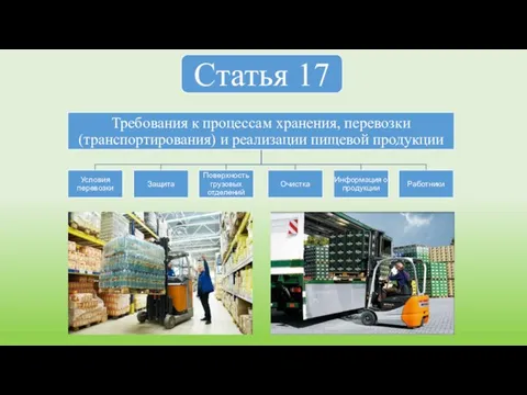 Статья 17