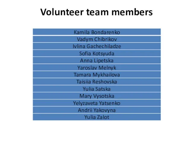 Volunteer team members