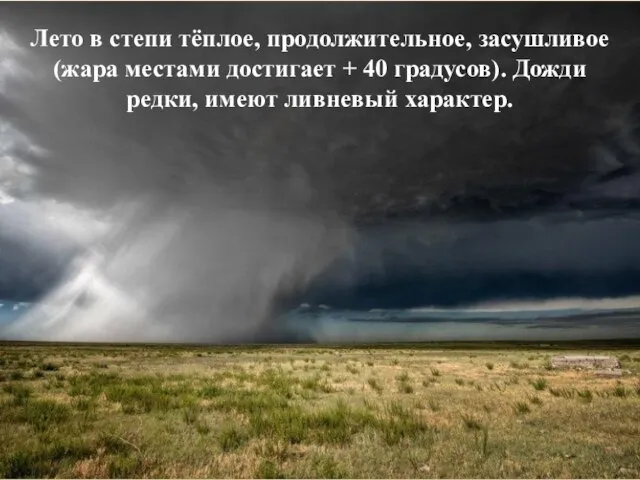 Лето в степи тёплое, продолжительное, засушливое (жара местами достигает + 40