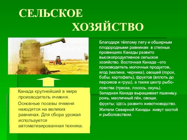 СЕЛЬСКОЕ ХОЗЯЙСТВО Канада крупнейший в мире производитель ячменя. Основные посевы ячменя