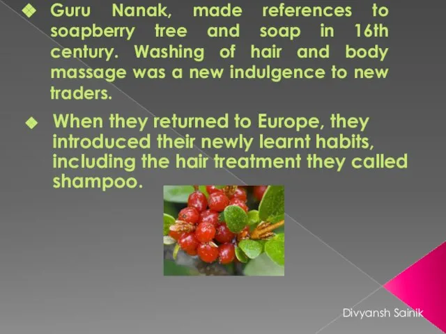 Guru Nanak, made references to soapberry tree and soap in 16th
