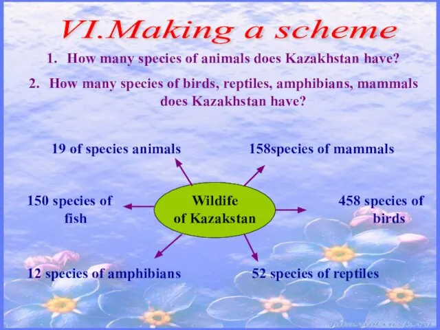 VI.Making a scheme How many species of animals does Kazakhstan have?