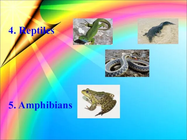 4. Reptiles 5. Amphibians