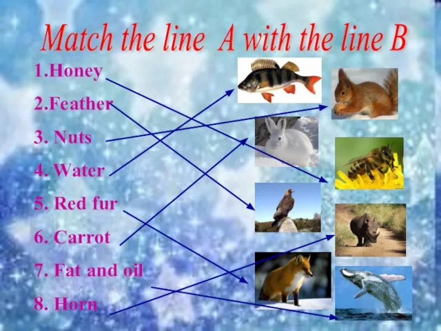 Match the line A with the line B 1.Honey 2.Feather 3.