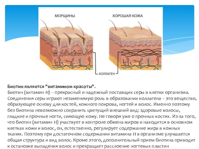 Биотин является "витамином красоты". Биотин (витамин Н) – прекрасный и надежный