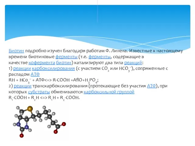 Биотин подробно изучен благодаря работам Ф. Линена. Известные к настоящему времени