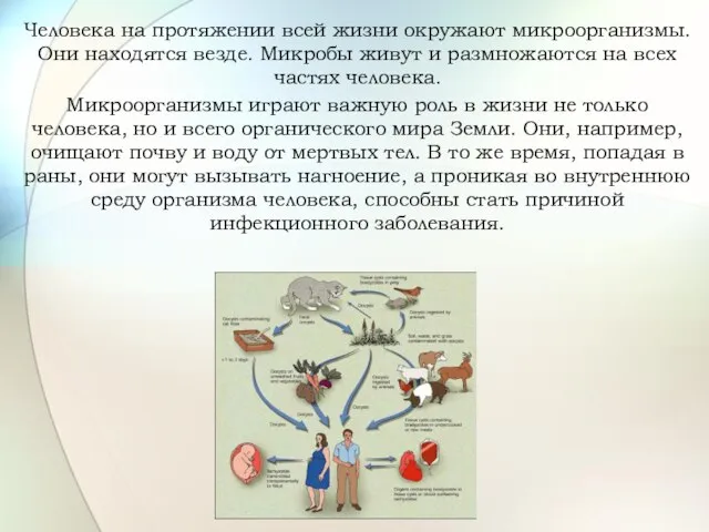 Человека на протяжении всей жизни окружают микроорганизмы. Они находятся везде. Микробы