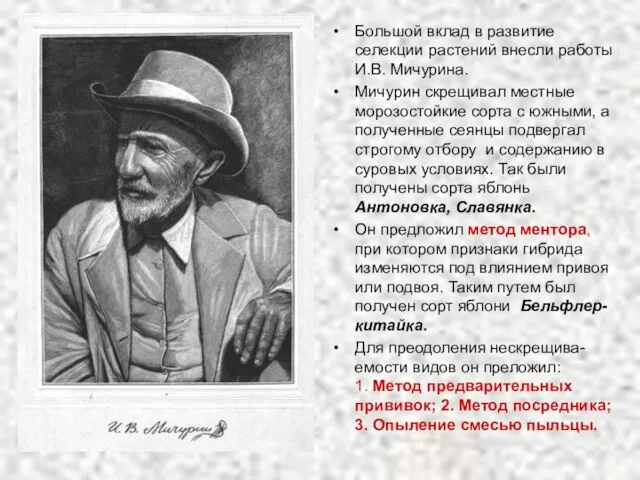 Большой вклад в развитие селекции растений внесли работы И.В. Мичурина. Мичурин