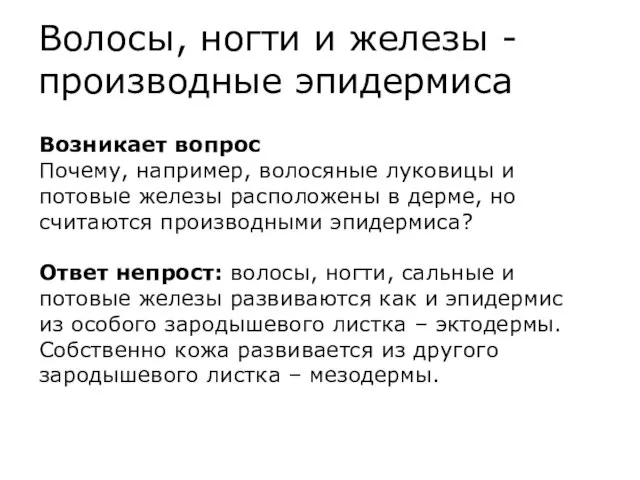 Волосы, ногти и железы - производные эпидермиса Возникает вопрос Почему, например,