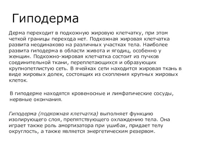 Гиподерма Гиподерма (подкожная клетчатка) выполняет функцию изолирующего слоя, препятствующего охлаждению тела.