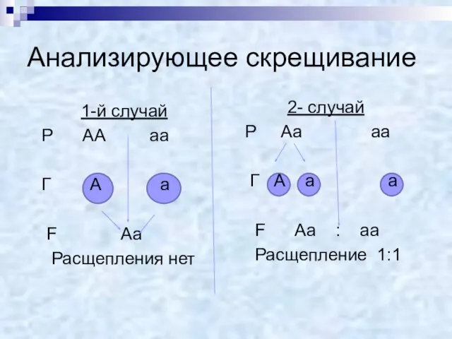 Анализирующее скрещивание 1-й случай Р АА аа Г А а F