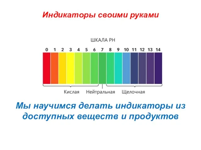 Индикаторы своими руками Мы научимся делать индикаторы из доступных веществ и продуктов