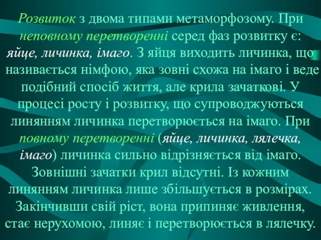 Розвиток з двома типами метаморфозому. При неповному перетворенні серед фаз розвитку