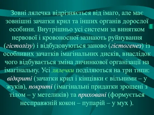 Зовні лялечка відрізняється від імаго, але має зовнішні зачатки крил та