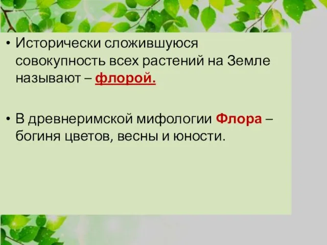 Исторически сложившуюся совокупность всех растений на Земле называют – флорой. В