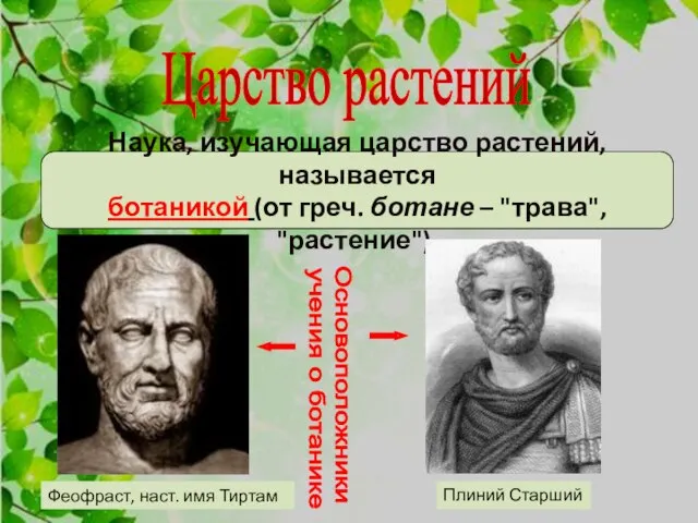 Царство растений Наука, изучающая царство растений, называется ботаникой (от греч. ботане