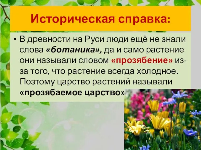 Историческая справка: В древности на Руси люди ещё не знали слова