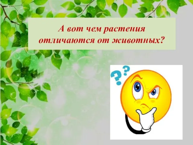 А вот чем растения отличаются от животных?