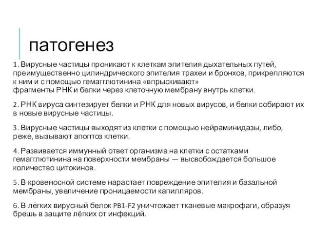 патогенез 1. Вирусные частицы проникают к клеткам эпителия дыхательных путей, преимущественно