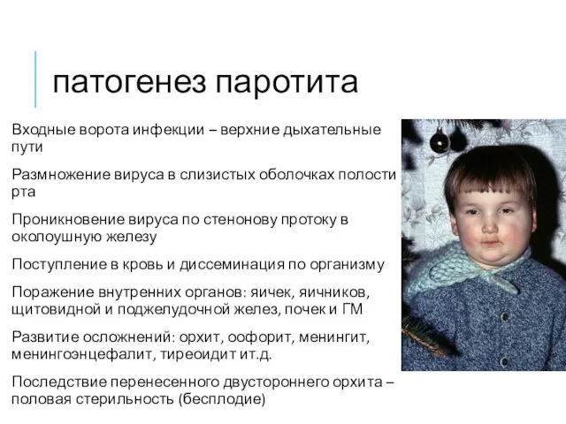 патогенез паротита Входные ворота инфекции – верхние дыхательные пути Размножение вируса