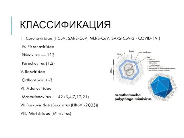КЛАССИФИКАЦИЯ III. Coronaviridae (HCoV, SARS-CoV, MERS-CoV, SARS-CoV-2 - COVID-19 ) IV.