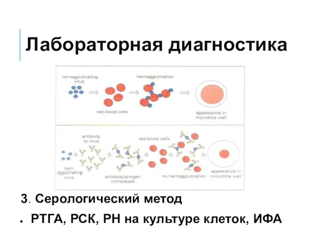 Лабораторная диагностика 3. Серологический метод РТГА, РСК, РН на культуре клеток, ИФА