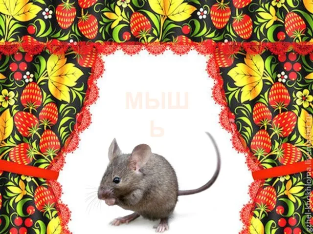 МЫШЬ