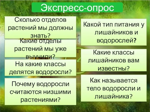 Экспресс-опрос Сколько отделов растений мы должны знать? Какие отделы растений мы