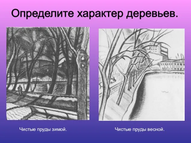 Определите характер деревьев. Чистые пруды зимой. Чистые пруды весной.