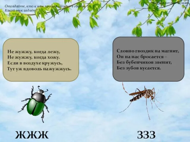 Отгадайте, кто к нам пришёл сегодня в гости: Какой звук издаёт?