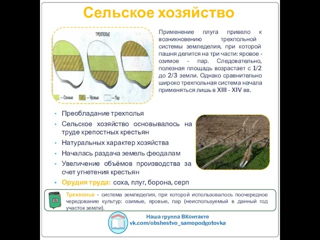 Сельское хозяйство Наша группа ВКонтакте vk.com/obshestvo_samopodgotovka Преобладание трехполья Сельское хозяйство основывалось