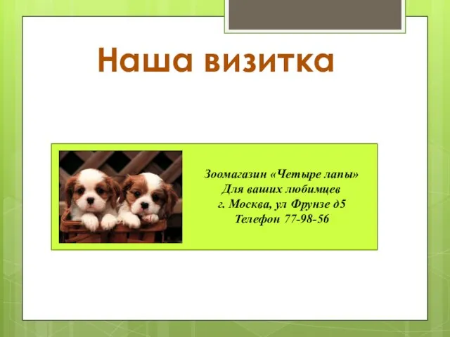 Наша визитка Зоомагазин «Четыре лапы» Для ваших любимцев г. Москва, ул Фрунзе д5 Телефон 77-98-56