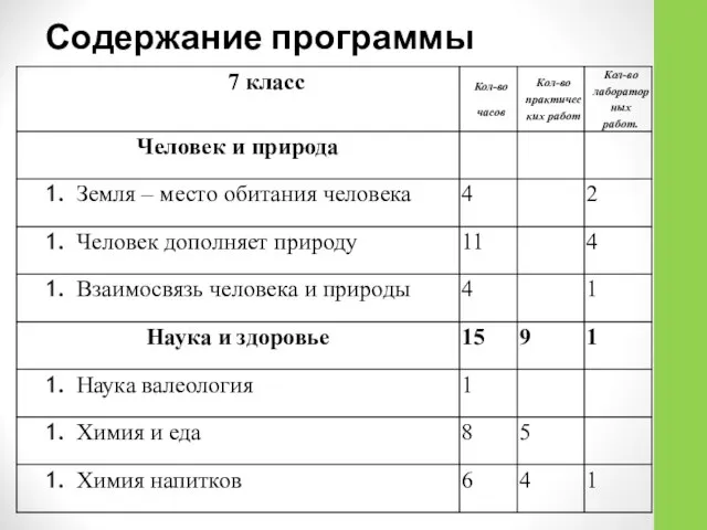 Содержание программы