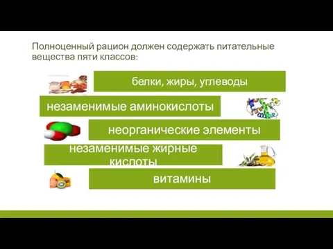 Полноценный рацион должен содержать питательные вещества пяти классов: