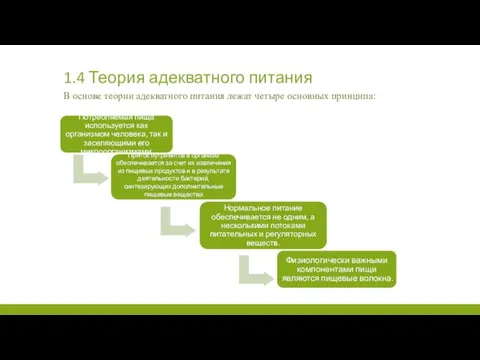 1.4 Теория адекватного питания В основе теории адекватного питания лежат четыре основных принципа: