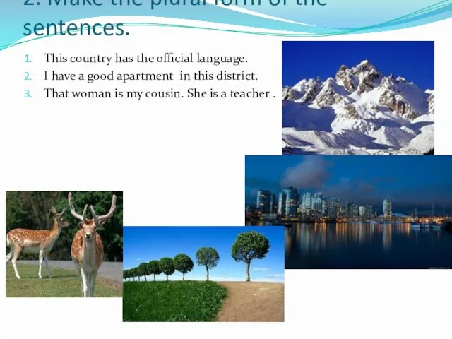 2. Make the plural form of the sentences. This country has