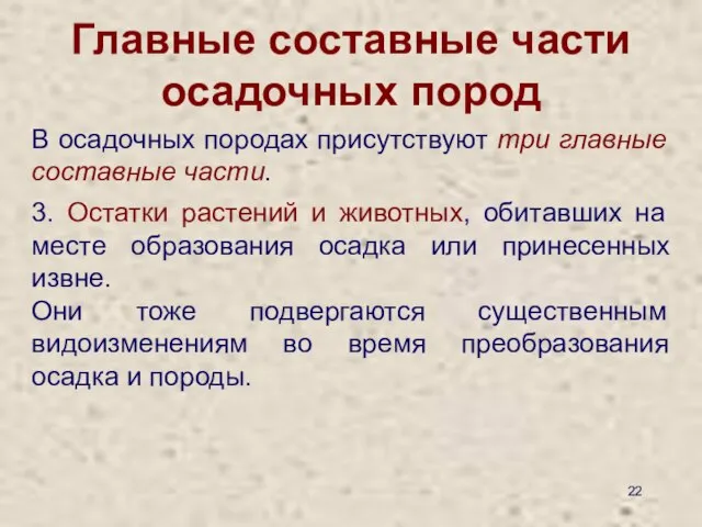 Главные составные части осадочных пород В осадочных породах присутствуют три главные